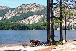 campeggio con zona acquatica porto vecchio