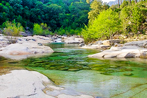 campeggio spiaggia di palombaggia